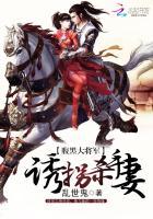 腹黑将军俏公主无弹窗