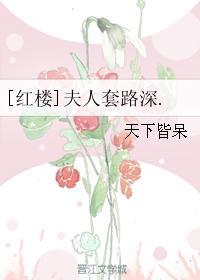 红楼之夫人套路深无防盗章节