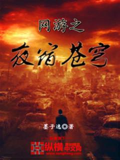 网游之野望无弹窗