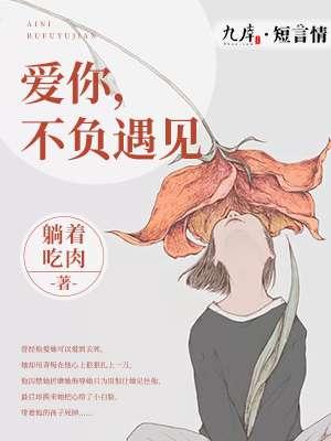 不负遇见前一句是啥