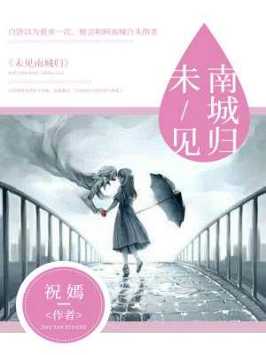 南城未暖你未归txt