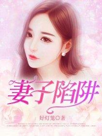 妻子的陷阱免费观看电视剧全集