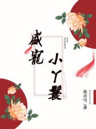 盛宠小王妃免费阅读