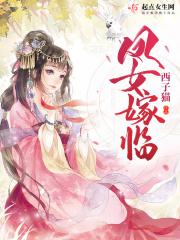 凤女谋嫁连似月免费阅读黎明篇