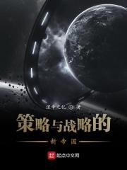 策略是战略吗