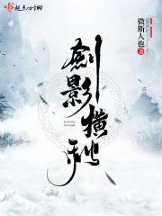 剑影纵横