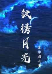 铁锈月光晋江文学城