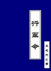 行军令by三夜天讲什么