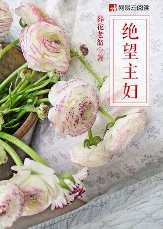绝望主妇一共多少季