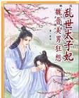 乱世太子妃魏晋美男狂想曲