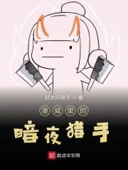 英雄联盟暗夜猎手技能介绍