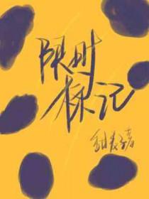 限时是什么