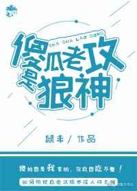 傻子老攻