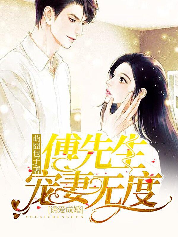 傅少宠妻如命免费阅读全文