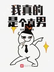 我真的是直男全文阅读免费