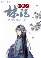 红楼之林钰txt