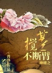 神雕片段