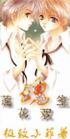莲花双生魂txt