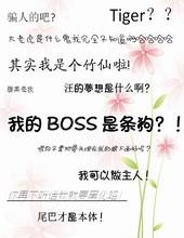 我的Boss是大神动漫