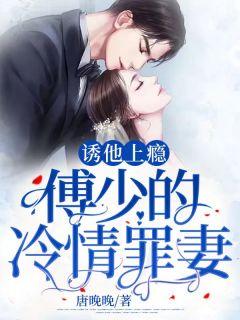 傅少宠妻上瘾1