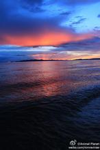沧海笑的