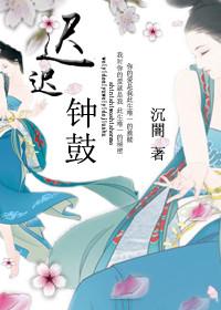 迟迟钟鼓初长夜的隐喻