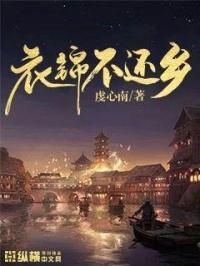 衣锦还乡 锦衣夜行
