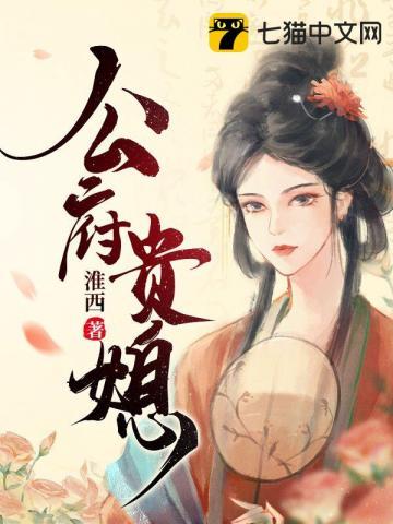 公府贵媳晏长风