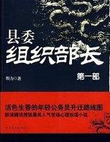 洛宁县委组织部长