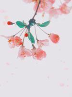将军与农女的