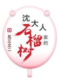 沈大人家的石榴树(重生)无防盗