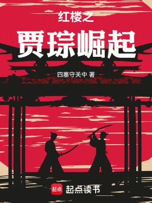 红楼梦之贾琮