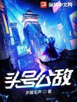 头号公敌全文阅读