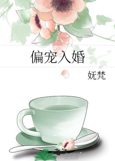 偏宠入婚txt