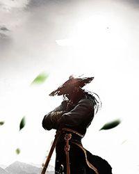 晚风 (np)
