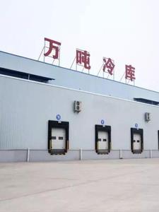 四合院开局签到满级医术