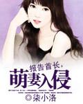 报告军长萌妻入侵