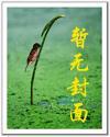 天价婚约池晚是正规还是仿