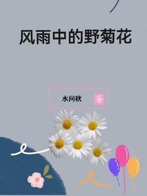 风雨中的菊花意思