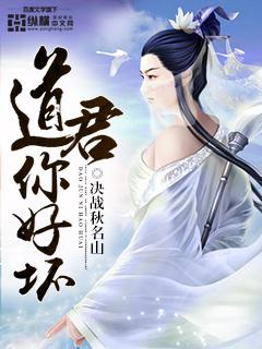 道君 评价