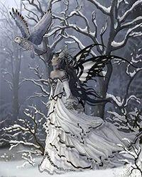 张晨雪是谁