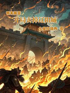 明末风云在线阅读