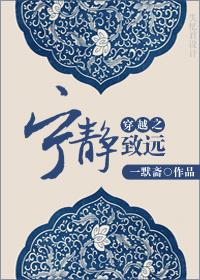 宁静致远 txt