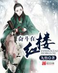 奋斗在红楼几个女人