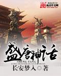 盛唐系列