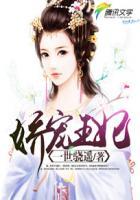 娇宠王妃txt