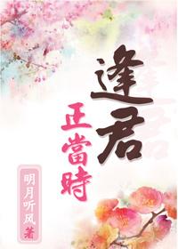 逢君正当时沈梦君