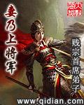 妻乃上都督