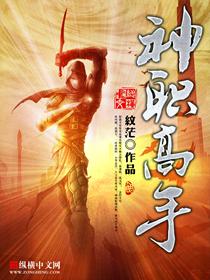 全职高手神之领域设定