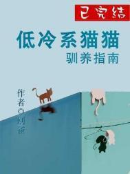 比较高冷的猫